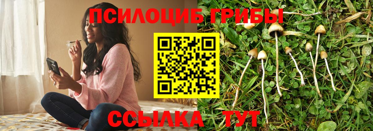 Галлюциногенные грибы Magic Shrooms  Вход с VPN  Воскресенск 